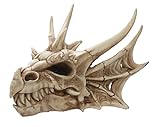 Puckator - Figura Decorativa de Calavera de dragón, Resina Artificial, Color Mezclado, 16,5 cm de Altura x 22,5 cm de Ancho x 25 cm de Profundidad