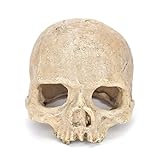 Decoración de cráneo, calavera humana de resina, para el hogar, para bar, pecera, club nocturno, decoración de fiesta de Halloween