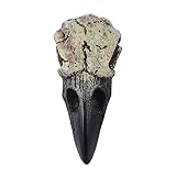 FANSWAN Collar de calavera de cuervo para adultos, joyería gótica de Halloween, colgante de calavera de cuervo, decoración de fiesta, joyería novedosa, Large