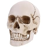 Tinksky Lifesize 1: 1 modelo de calavera humano Replica Resina Médico trazos anatómico insegnamento médico esqueleto Halloween decoración estatua regalos de Halloween