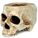 READAEER - Maceta con Forma de Calavera/Cabeza de Muerte Humana