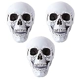 Osuter 3PCS Cabeza de Calavera Realista Horror de Calaveras Falso Cráneo Halloween Calavera Accesorios para Halloween Fiestas Jardín Interior Decoración