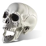 Prextex - Cráneo de esqueleto con aspecto realista para decoración de Halloween, 16,5 cm