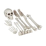 Relaxdays Esqueleto Decoración Halloween, Kit 12 Huesos Decorativos, Interior y Exterior, Calavera, Manos y más, Crema