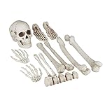 Relaxdays Esqueleto Decoración Halloween, Kit 12 Huesos Decorativos, Interior y Exterior, Calavera, Manos y más, Crema