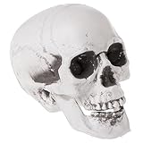 Acan Tradineur - Calavera para Halloween, plástico, cráneo, decoración de Interior, Carnaval, Fiestas, Celebraciones, 15 cm