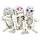 Nemesis Now Three Wise Calaveras - Figura de Esqueleto de 20,3 cm, poliresina, Color Blanco, Talla única