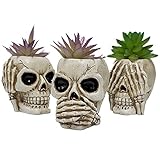 Fowybe 3 macetas con diseño calaveras, para plantas interior, divertidas macetas para decoración jardín casa, cactus, decoración para plantas suculentas.