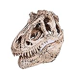 VOANZO Réplica de modelo de calavera de dragón de una sola cresta, fósil de calavera de diente de dinosaurio, accesorios de fotografía, herramienta de enseñanza para el hogar