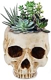 Yundxi Humano Calavera Figura Maceta Macetero cráneo Cabeza Calavera Modelo Maceta Maceta Flores Plantas Decoración (Beige)